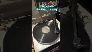 Steely Dan Countdown to Ecstasy vinyl record [upl. by Atsirtal]