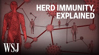 What It Would Take to Reach Herd Immunity  WSJ [upl. by Woodie]