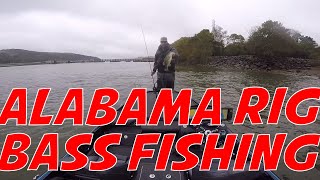 FIshing below the Guntersville Dam on Lake Wheeler for some Bass Alabama Rig Bass Fishing [upl. by Reivax236]