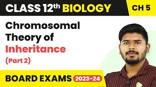 Chromosomal Theory of Inheritance Part 2Principles of Inheritance and Variation Class 12 202223 [upl. by Ainola]