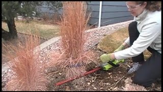 The BEST Way to Prune Ornamental Grasses [upl. by Bellew]