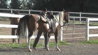 Solution Horse Moves When Mounting [upl. by Mont]