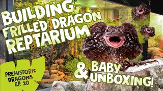 PD EPISODE 10 BUILDING FRILLED DRAGON REPTARIUM amp BABY UNBOXING [upl. by Roots]