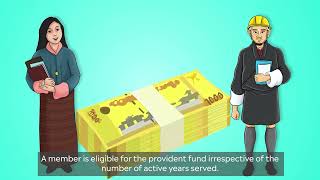 National Pension and Provident Fund NPPF [upl. by Siddon531]