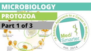 Protozoa  Microbiology  USMLE STEP 1  Part 1 of 3 [upl. by Ib944]