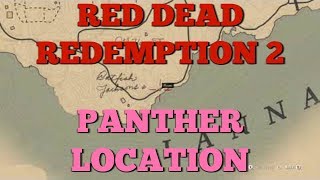 RDR2 PANTHER LOCATION [upl. by Suolkcin666]