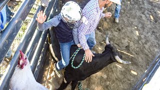 Seven Year Old Bull Rider  These Kids Are Fearless [upl. by Yelrahs581]