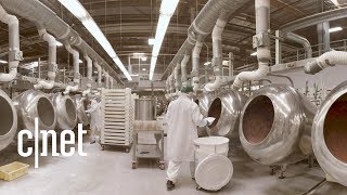 Jelly Beans How Its Made Entire Jelly Belly Factory Insider Tour 🍬 [upl. by Fredric]