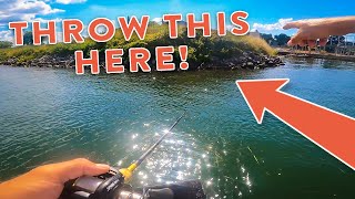 Summer Bass Fishing Tips On Lake Guntersville with Andrew Nordbye [upl. by Ignatius975]