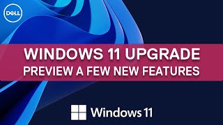 Windows 11 New Features  Dell Support [upl. by Cohby]