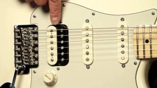 Fender USA Professional Standard Stratocaster HSS Demo [upl. by Uriisa]