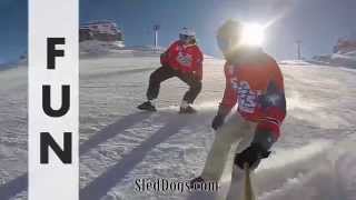 Sled Dogs Snowskates  New sport on the slopes [upl. by Aelak]