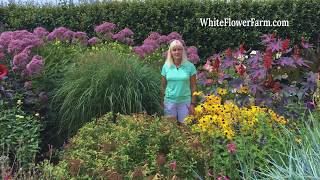 Growing Ornamental Grasses [upl. by Stromberg]