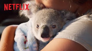 Cutest Koala Moments 🥰 Izzys Koala World  Netflix Jr [upl. by Airotnahs]