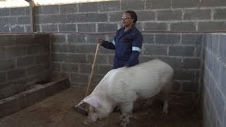 Meet Constance Math Teacher and Pig Farmer from Lesotho [upl. by Ecirtnom719]