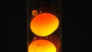 How To Make a Simple Lava Lamp At Home [upl. by Limhaj]