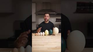 I Cooked the World’s CRAZIEST Eggs [upl. by Jehanna279]