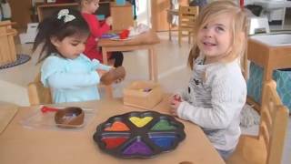 The Role of the Toddler Montessori Guide [upl. by Peta]