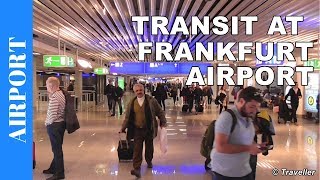 TRANSIT WALK AT FRANKFURT Airport FRA Terminal 1  Connection Flight Transfer Arriving amp Departing [upl. by Cha]