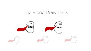 Complete Blood Count CBC amp Peripheral Blood Film [upl. by Irina203]