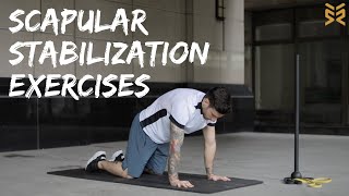 11 Scapular Stabilization Exercises [upl. by Dorran950]