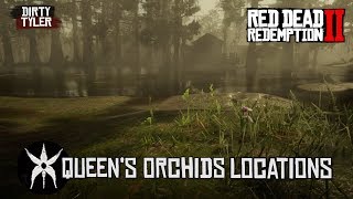 All Queens Orchid Locations Red Dead Redemption 2 RDR2 [upl. by Biancha]