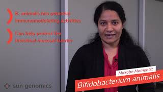 Microbe Moments Bifidobacterium animalis  Sun Genomics [upl. by Linet]