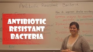 Antibiotic Resistant Bacteria [upl. by Harlan963]