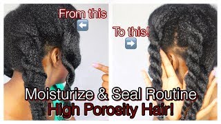 How to Moisturize amp Seal High Porosity Natural Hair  Simply Subrena [upl. by Sitrik913]